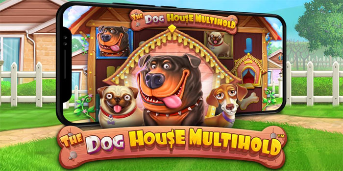 Observasi Pola Putaran Slot The Dog House Multihold